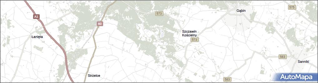Modrzew